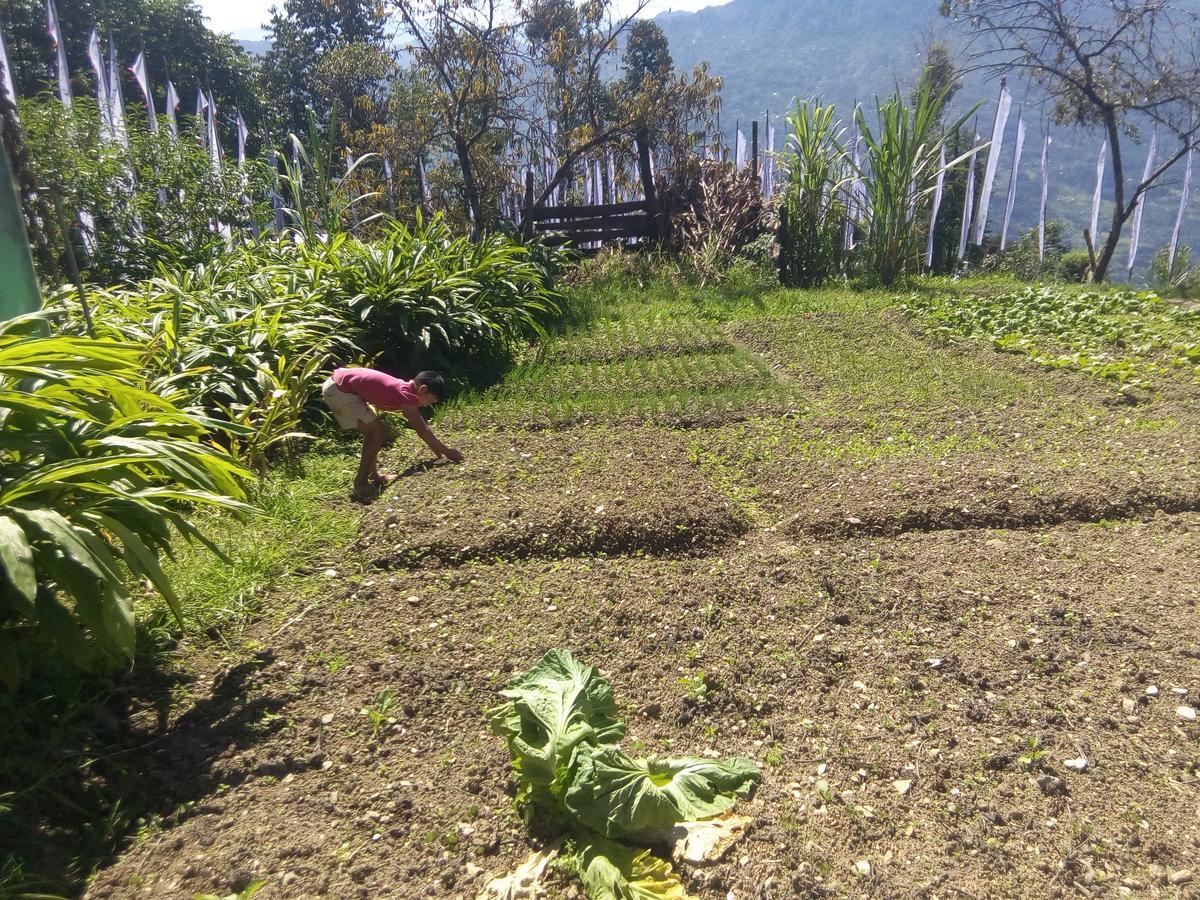 Martam Farmhouse Pelling Exterior photo
